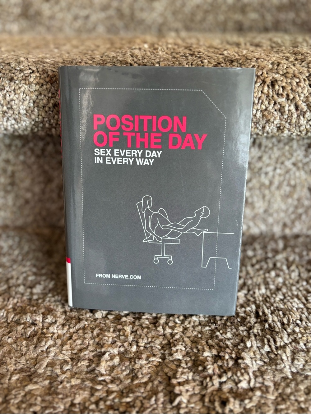 Position of the Day — Sex Every Day in Every Way (Gray & Pink Cover)